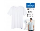 Gunze 鹿の子Cool Magic 吸汗速乾X除臭 短袖T-shirt